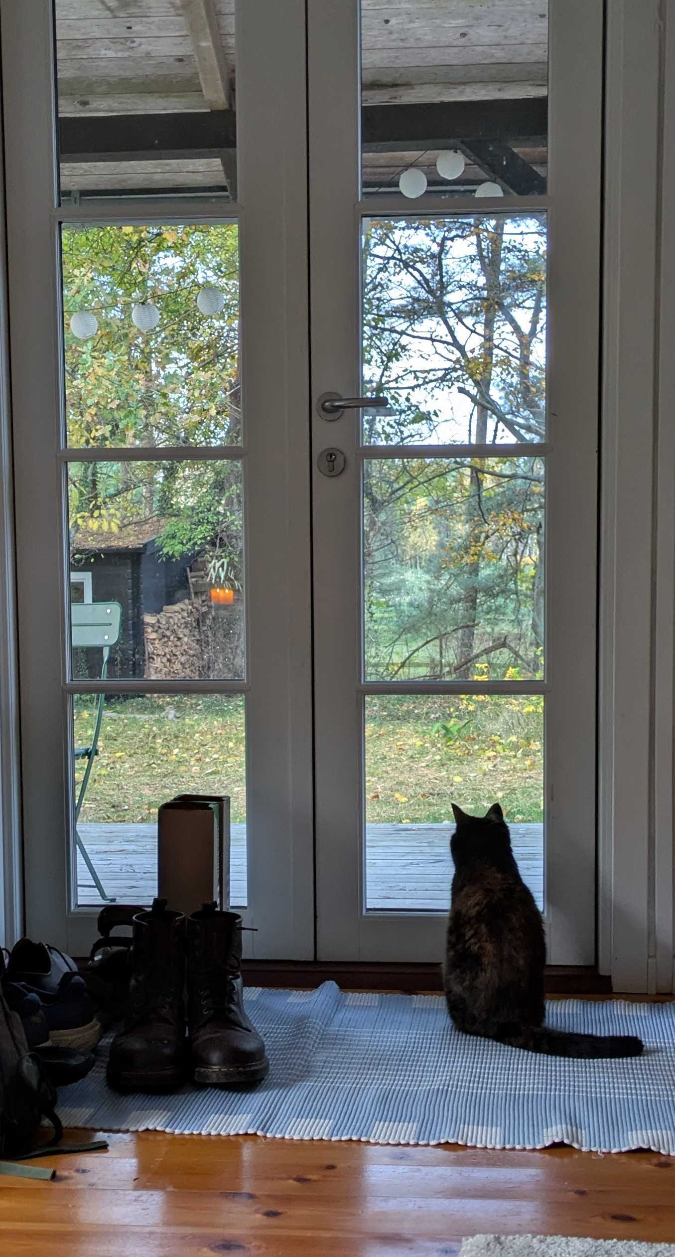 Mono er flyttet på landet